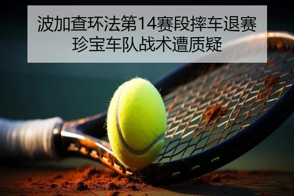 bo-jia-cha-huan-fa-di-sai-duan-shuai-che-tui-sai-zhen-bao-che-dui-zhan-shu-zao-zhi-yi-2-905.jpg