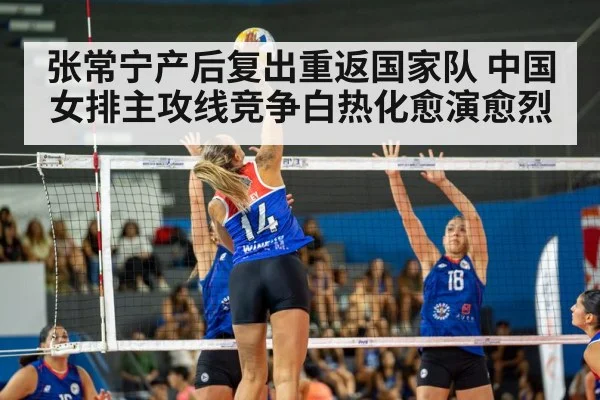 volleyball match
